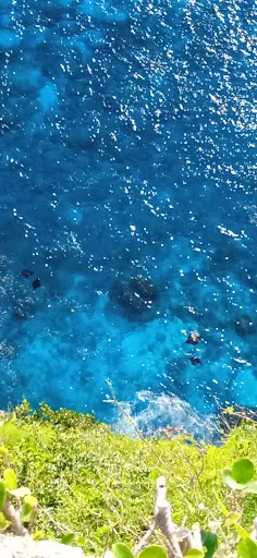 THE MANTA POINT 4