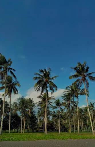 Monumen Pendaratan I Gusti Ngurah Rai 4