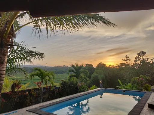 Pink Barrel Bali - Surf And Stay Medewi 2