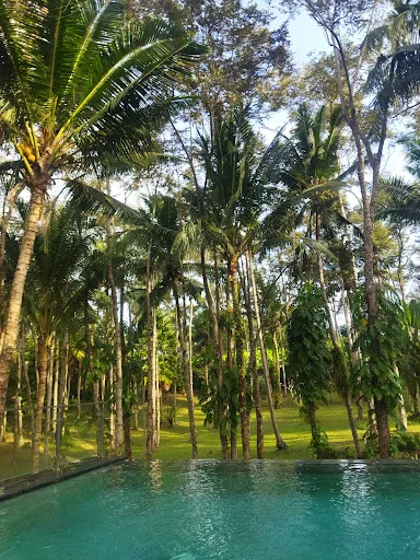 Villa DeWa 3
