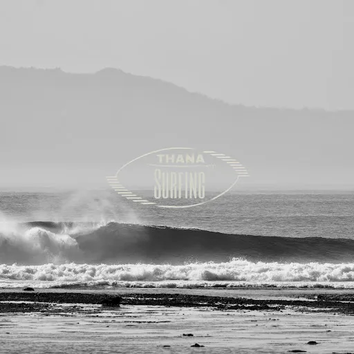 Medewi lesson | THANA SURFING 2