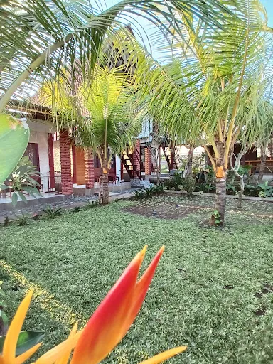 Alen's Surf Homestay 3