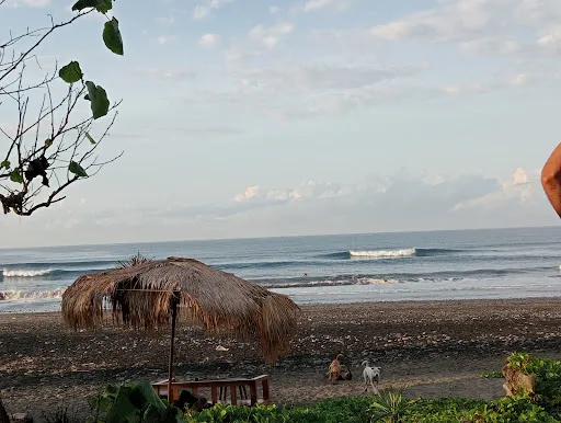 Medewi GOOD VIBEs Surf&stay 3