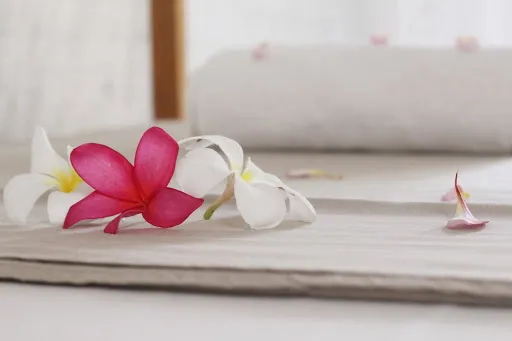 Jungle House - Surf & Stay 3