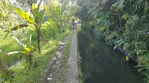 Pemandian Bedugul 1