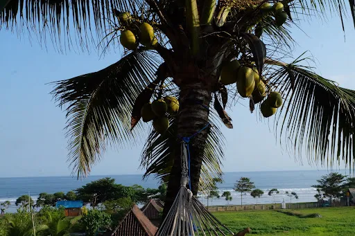 Dikaloha Surfcamp & SurfSchool 2