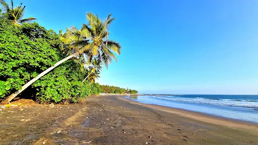 Bali Boarders Surfschool West Coast 3