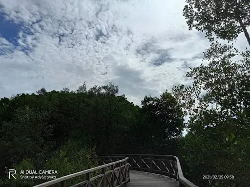 Ekowisata Tracking Mangrove 1