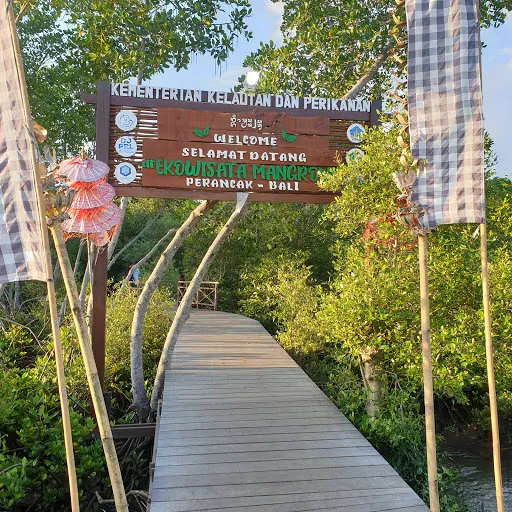 Ekowisata Tracking Mangrove 2