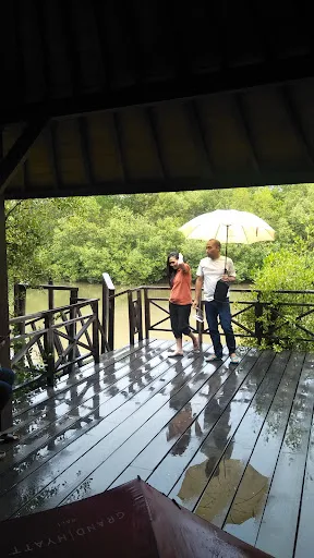 Ekowisata Tracking Mangrove 3