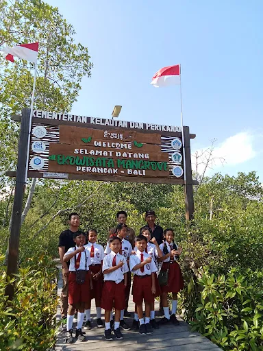Ekowisata Tracking Mangrove 4