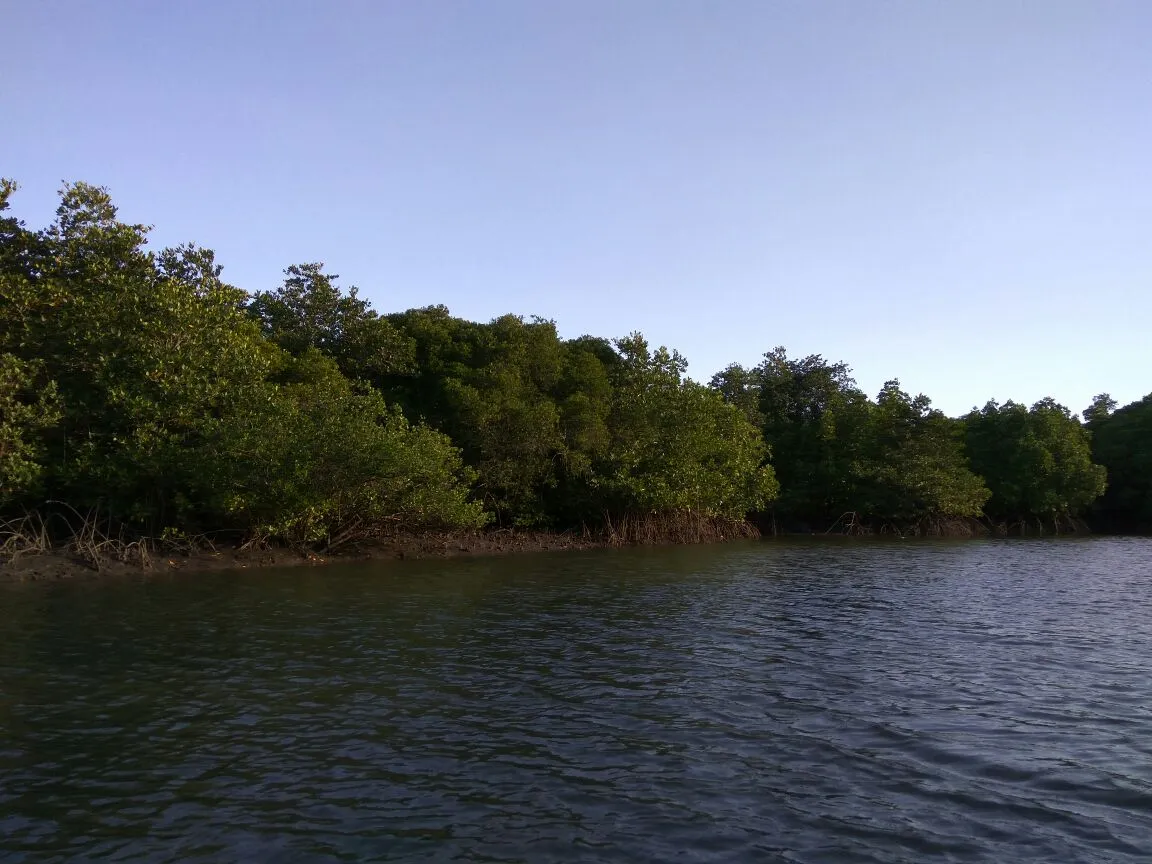 Teluk PangPang