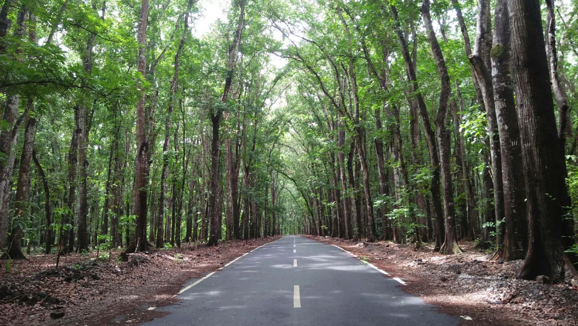 Alas Purwo National Park 2