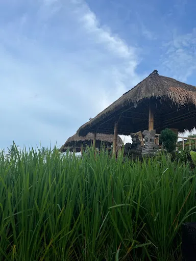 One Fit Wellness Bali 1