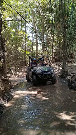 Bali Buggy Tour 1