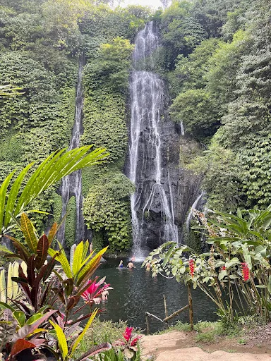Bali with Babo - tours, activities, and private transport 1