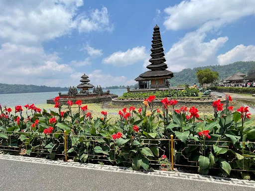 Bali with Babo - tours, activities, and private transport 4