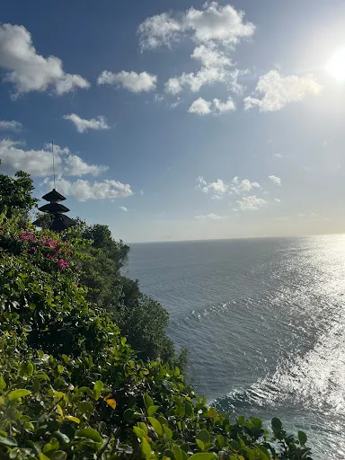 Secret Happiness Cartel 2