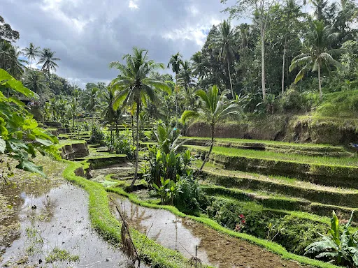 Secret Happiness Cartel 3