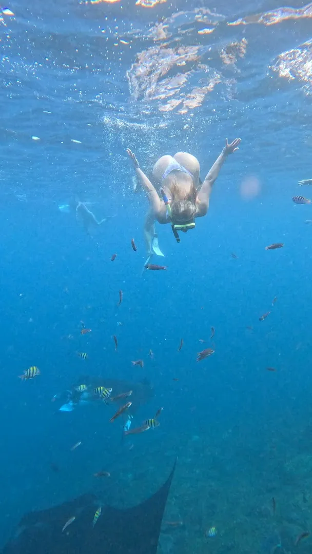 Tour Nusa Penida Daily | Manta Ray Snorkeling 1