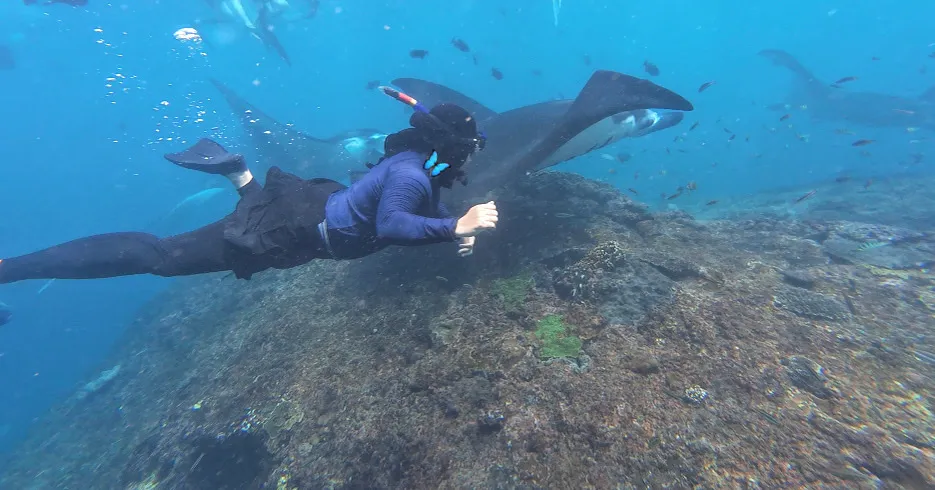 Tour Nusa Penida Daily | Manta Ray Snorkeling 3