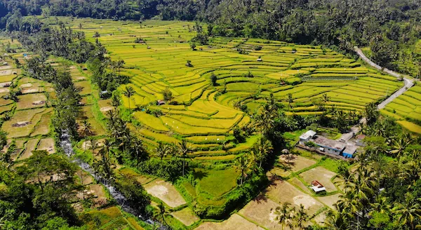 Rendang